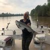 lynndavis8680