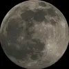 zxcvgtvil