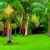 user8110665427775
