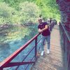 albert_dobratini