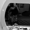 joanaalvest