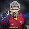 dana4_me