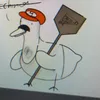 sarosky_1