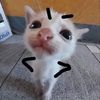 reonisnotcool