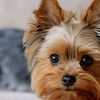 jay_jay_3535