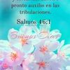 mariateresarosa23