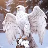 dy912zubxedf