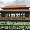 hungnguyen75799