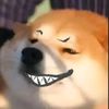 swagdoge5000