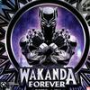 wakanda_63