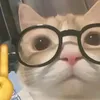 yumbacon0