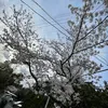 issa_2247