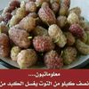 xuzainhassan