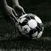 mus_lm13