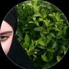 userhywf7mioq3