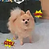 enok_111