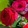 user7pf1w0u786