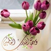 alzain_15