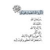 naif_2030n