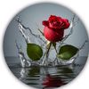 m_yousaf07