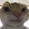 haoxucufc