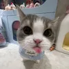 qiun_zwth