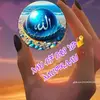 user3835829615735