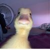 user388383839999