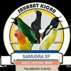 wayan samudra