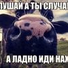 romasha.com