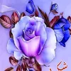 user71thrtblhl