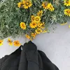 warud_79e