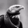 jiyoseagle