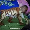chhuseguid