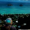 master_roshi_surfing