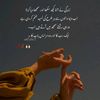 fatimaali3335