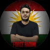 force_badini_2