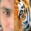 wajahat_bhatti_5856