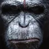 caesar_talks