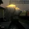 xen.24zy