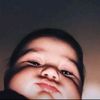 alii_zaiter