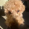 bobz_2011