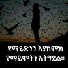 hamid.mohammed80