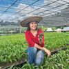 GREEN PROJECT