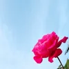dy5r75ru83fn