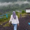 amyntaa5