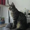 mr_jo_09