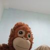 rafapendekcebol
