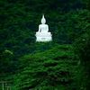 suniltharu2781