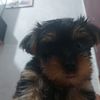 ______.teo.______